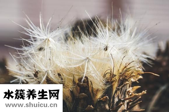 怎么跟天蝎男相处