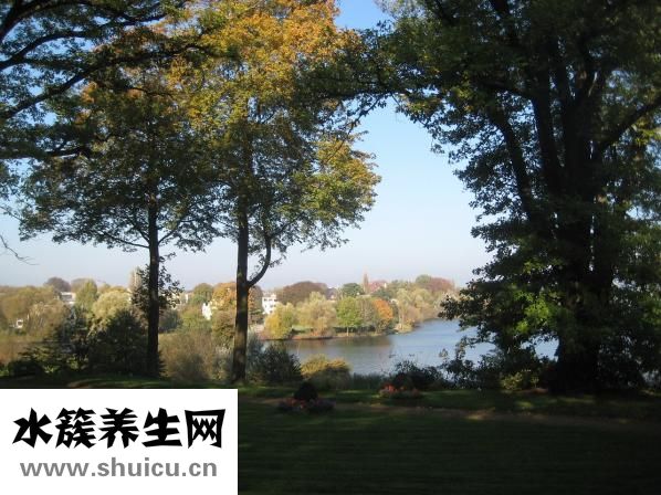 鸡怎么腌制