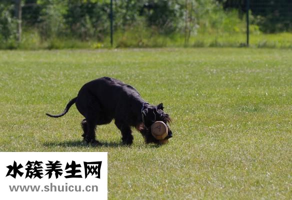 胸大下垂怎么调整