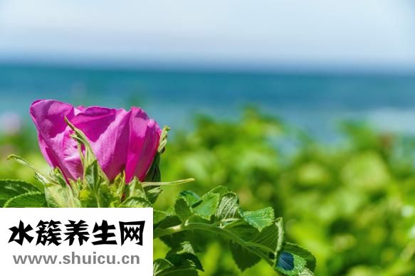 心理和生理需要制御人生才能使人生更有益处