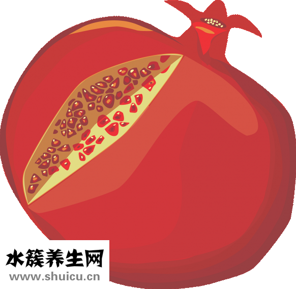 看石榴怎么养