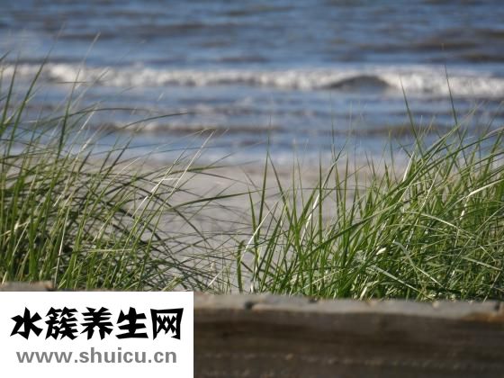 怎么把腿变长