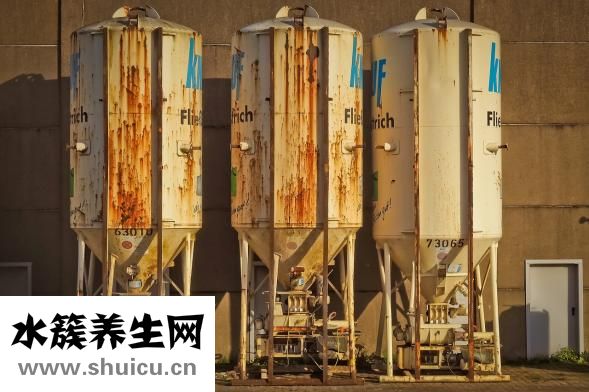 老咳嗽怎么治