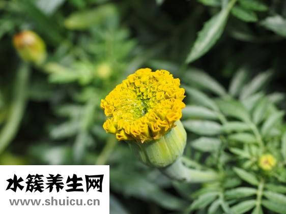 怎么欣赏别人