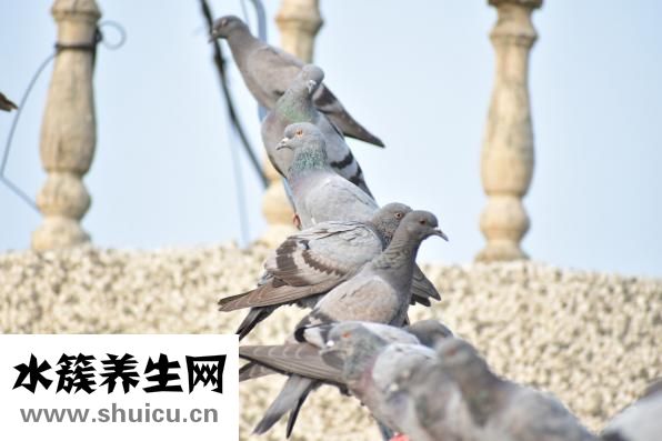肌抽跃怎么办