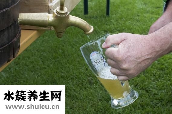 观音竹怎么种