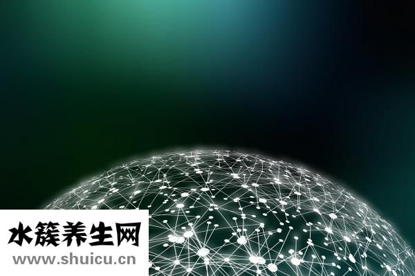 怎么看数据线的好坏