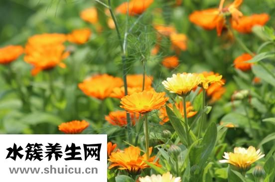 怎么欣赏别人