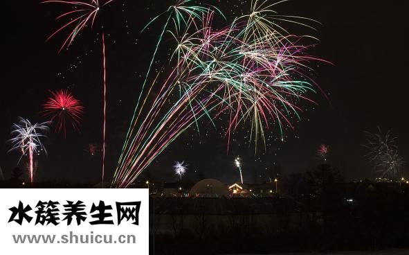 烤好的蛋挞怎么保存