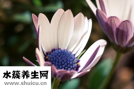 怎么欣赏别人