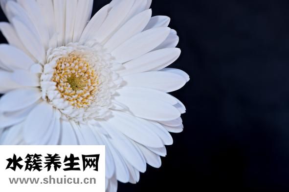 爸妈怎么知道你恋爱