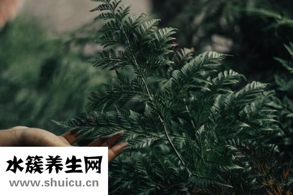 怎么自杀无痛苦