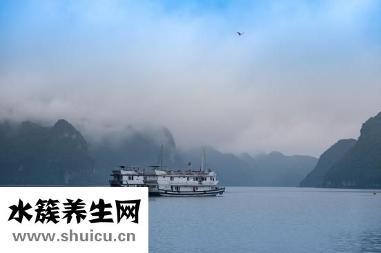 腿疼又麻木怎么办