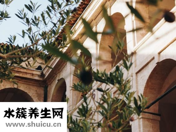 腿疼又麻木怎么办