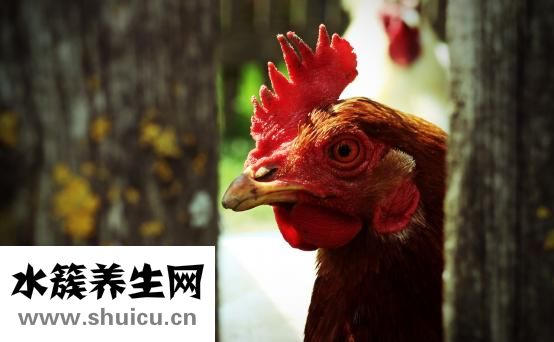 油头怎么梳