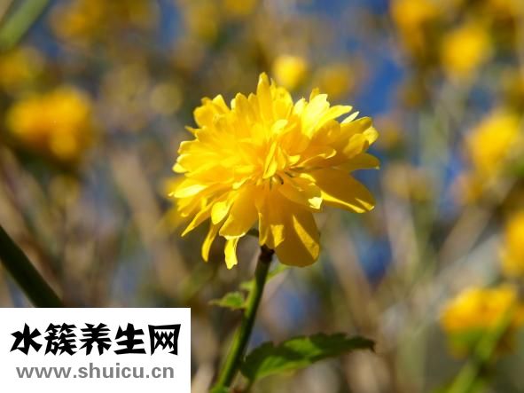 白带是咸的怎么回事