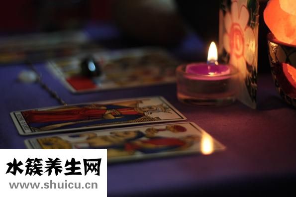 植物压力室怎么用