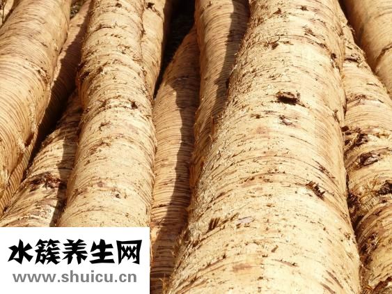 麻杏石甘汤孕妇不能喝，否则会流产