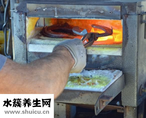 面包变硬怎么办