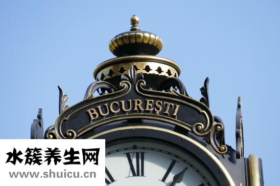 青桔怎么保存