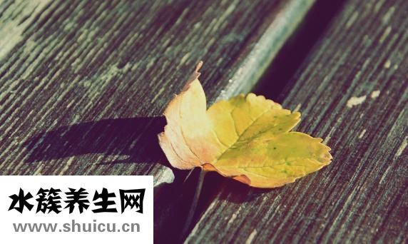 害怕恋爱怎么办