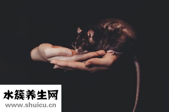 炸糕怎么加热