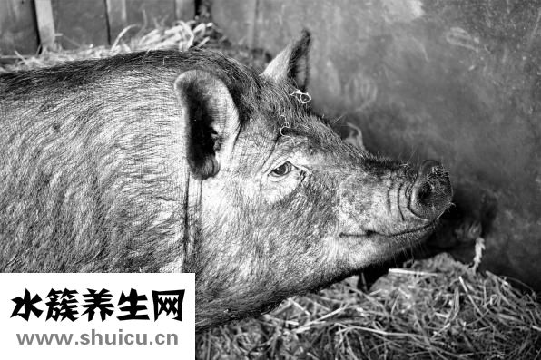 牙刷怎么洗