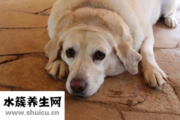 宝宝呕吐怎么护理