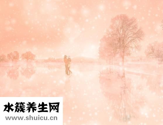 害怕恋爱怎么办