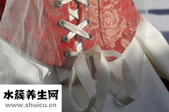 一个月金毛怎么养