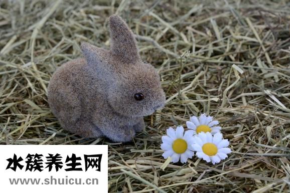 万圣节怎么索糖