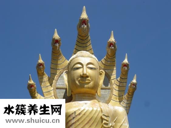 怎么办体内湿邪重？可喝鲤鱼汤猪骨汤山药片祛湿