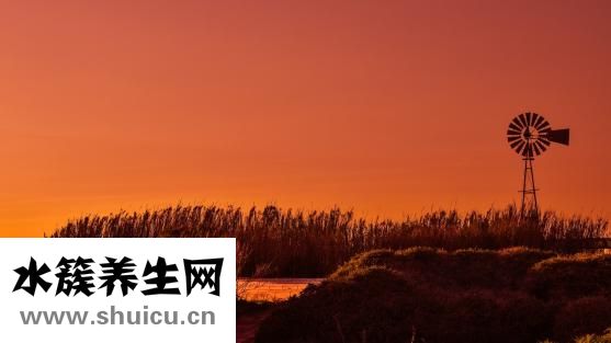 东湖保健醋怎么吃