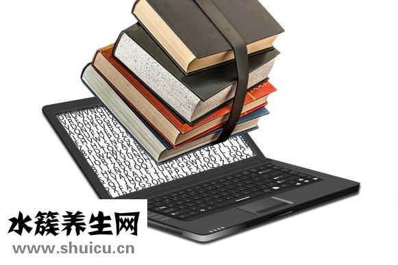 分量怎么算