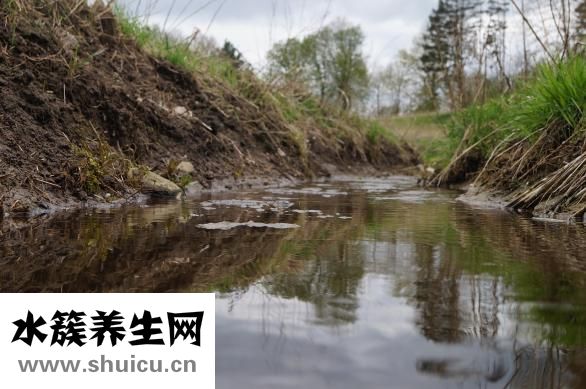 双腿脱皮屑怎么办