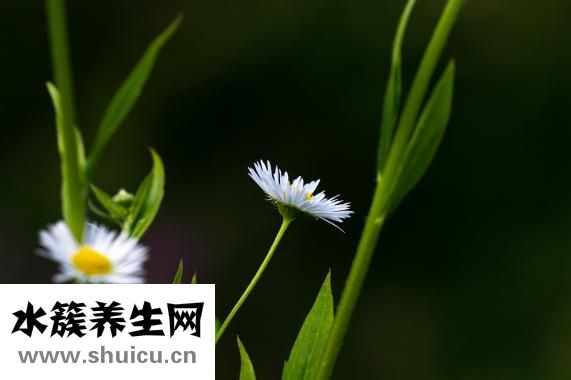 卧室的吊灯不怎么亮