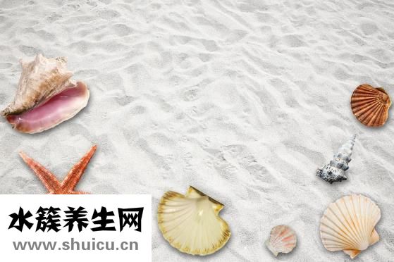 冰冻扇贝肉怎么洗