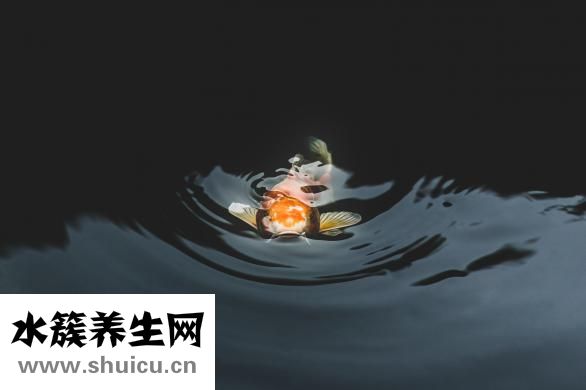 习惯是怎么养成的