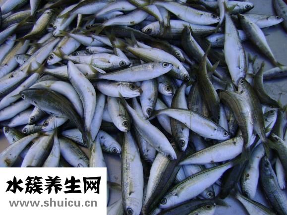 吃海鲜发痒怎么办