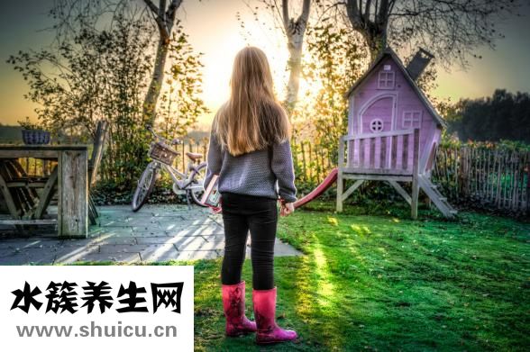 两个儿子怎么分家