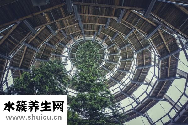 八字五行缺火怎么办
