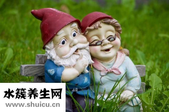 主婚人怎么当