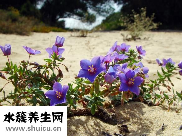 剩菜过夜怎么存放