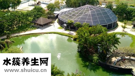 双腿脱皮屑怎么办