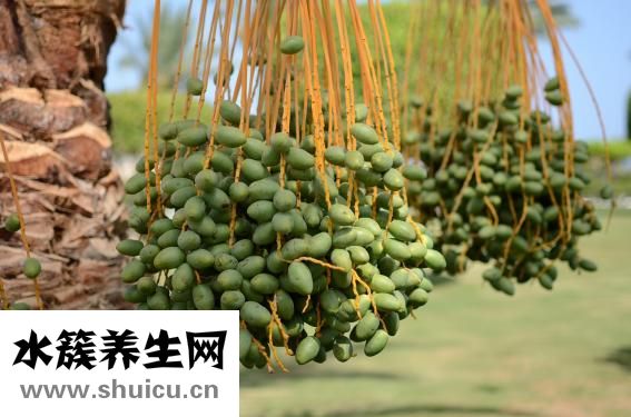 冬天吊兰怎么养