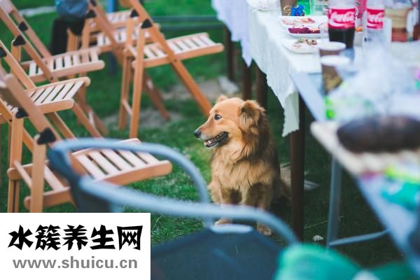 两个儿子怎么分家