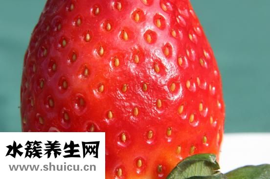 半岁宝宝怎么吃水果