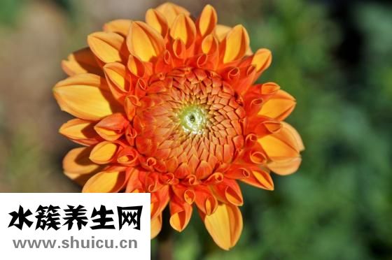 卧室灯盏怎么用？一般情况下橘色调较浅一些比较柔和