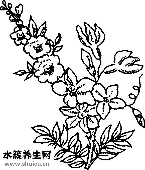 刘烨舒淇怎么了