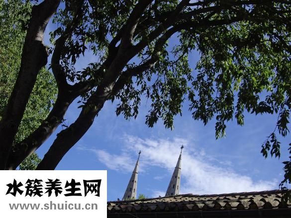 体内湿邪重怎么办